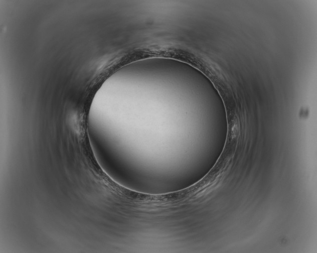X0000091571156200708201139