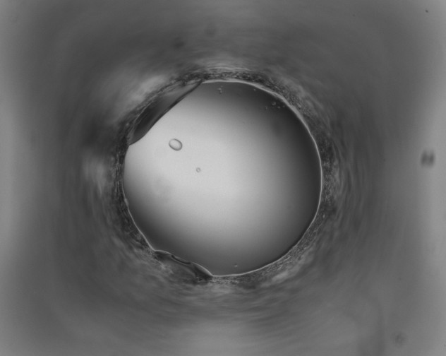 X0000091571157200708201139
