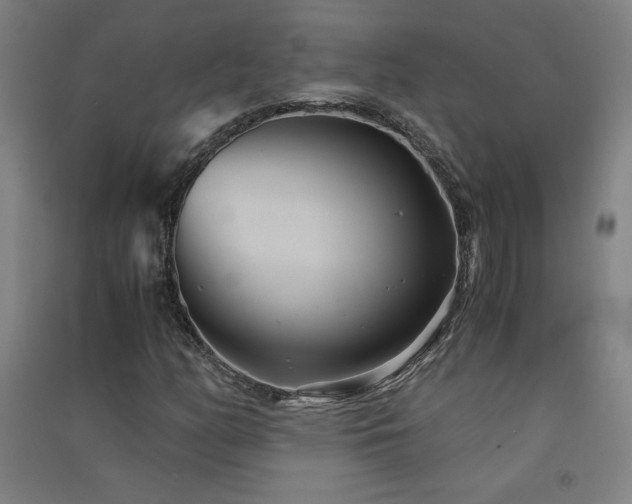 X0000091571158200708201139