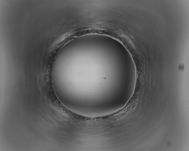 X0000091571159200708201139