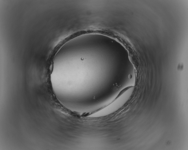 X0000091571160200708201138