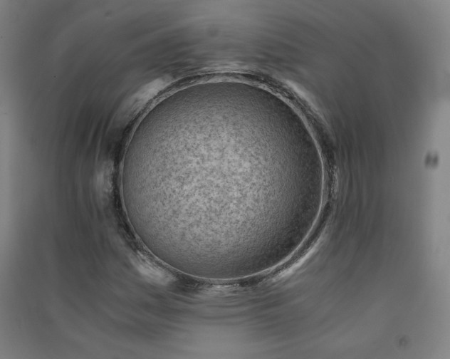 X0000091571161200708201138