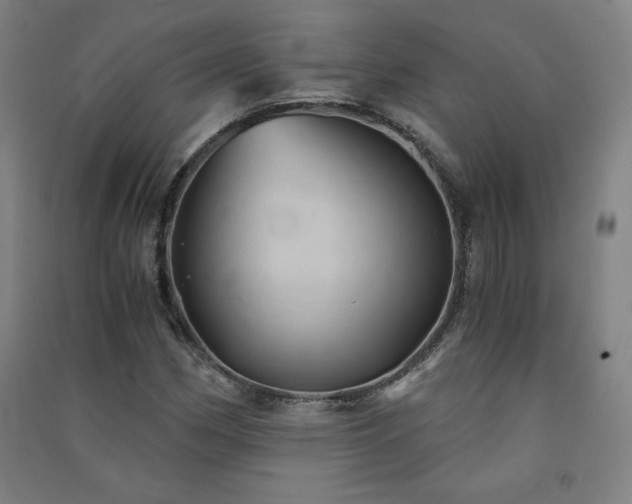 X0000091571162200708201138