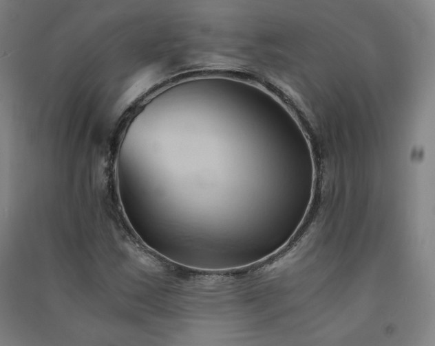 X0000091571163200708201138