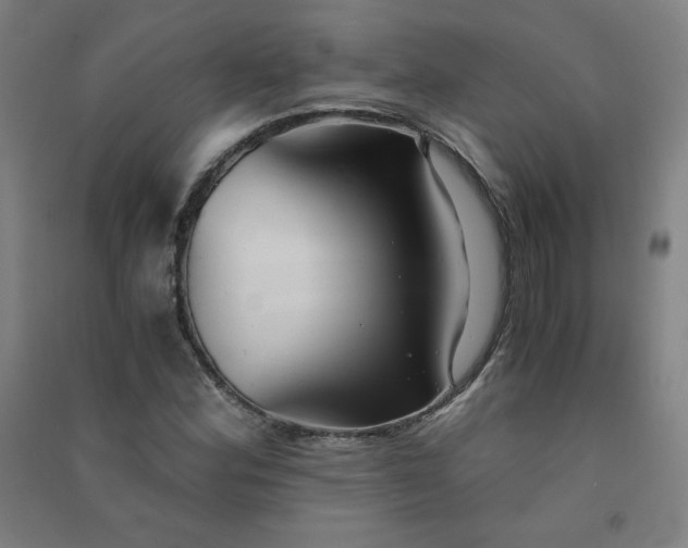 X0000091571164200708201138