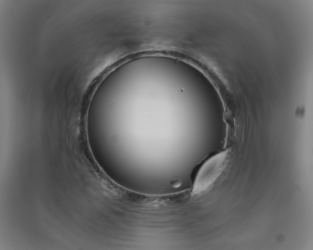 X0000091571165200708201138