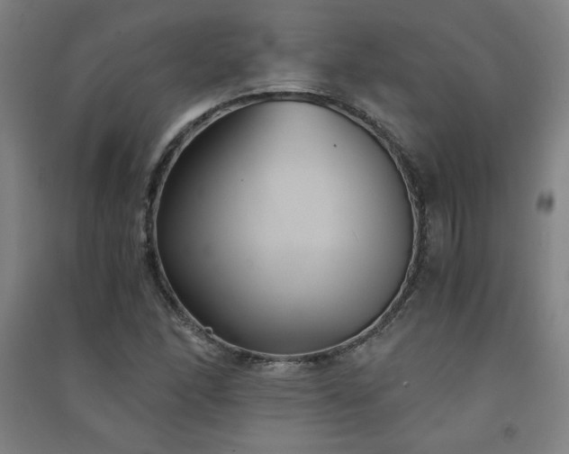 X0000091571166200708201138