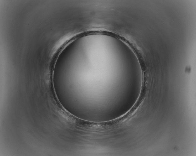 X0000091571167200708201138