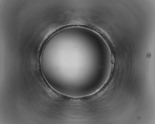 X0000091571168200708201138