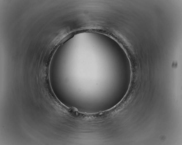 X0000091571169200708201138