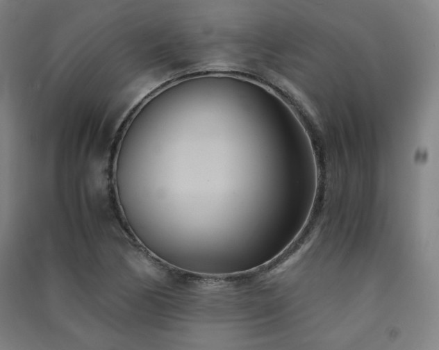 X0000091571170200708201138