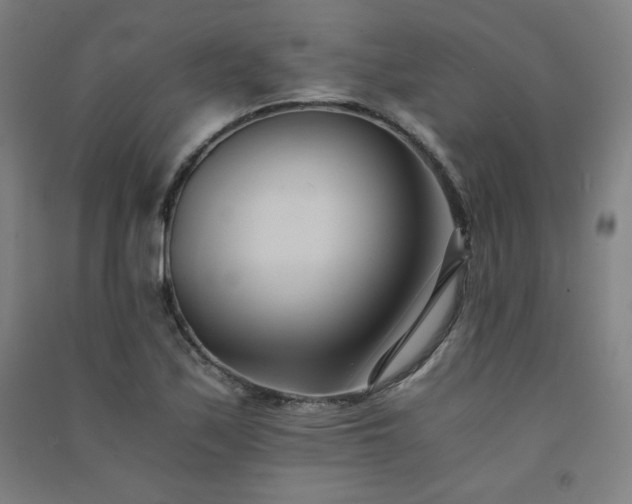 X0000091571171200708201138