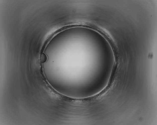 X0000091571172200708201138