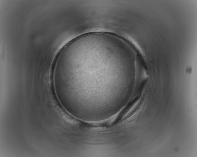 X0000091571173200708201138