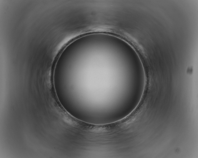 X0000091571174200708201138
