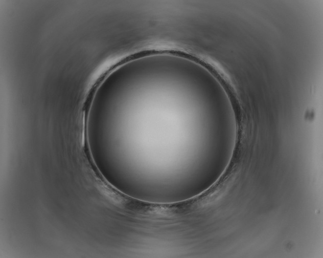 X0000091571175200708201138
