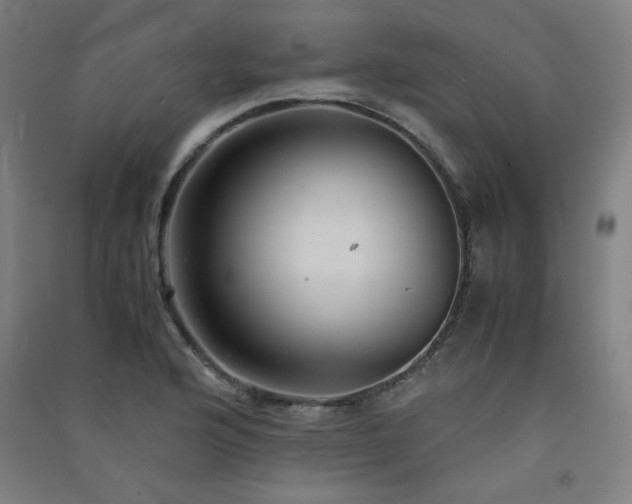 X0000091571176200708201138