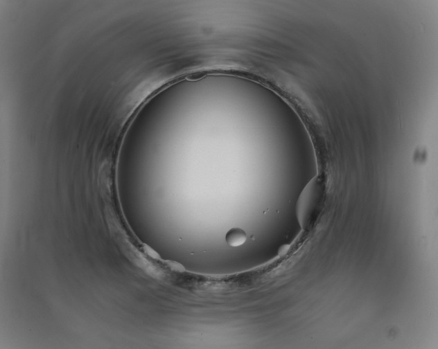 X0000091571177200708201138