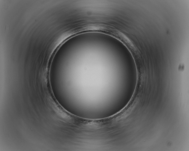 X0000091571178200708201138