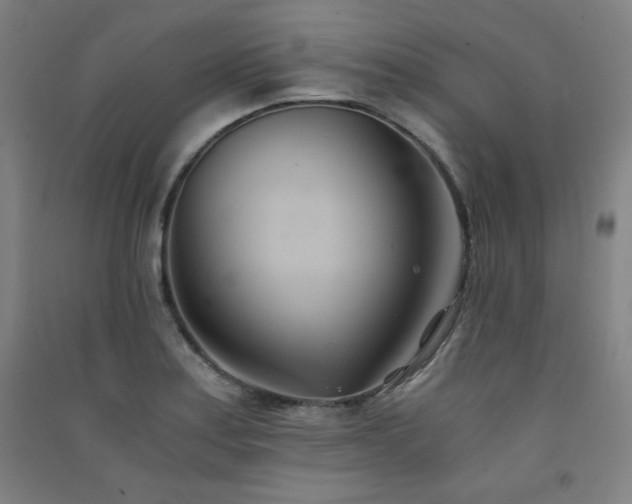 X0000091571179200708201138