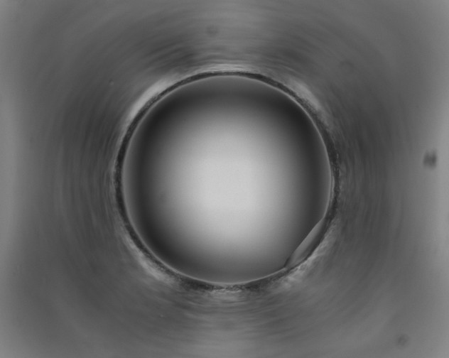 X0000091571181200708201138