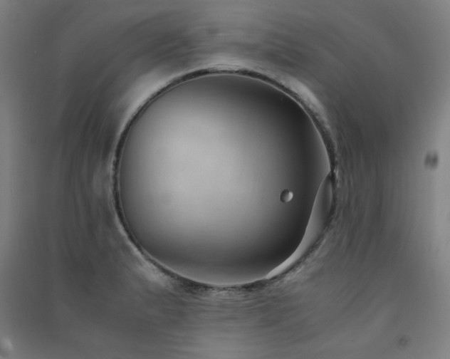 X0000091571183200708201138