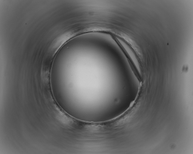 X0000091571185200708201138