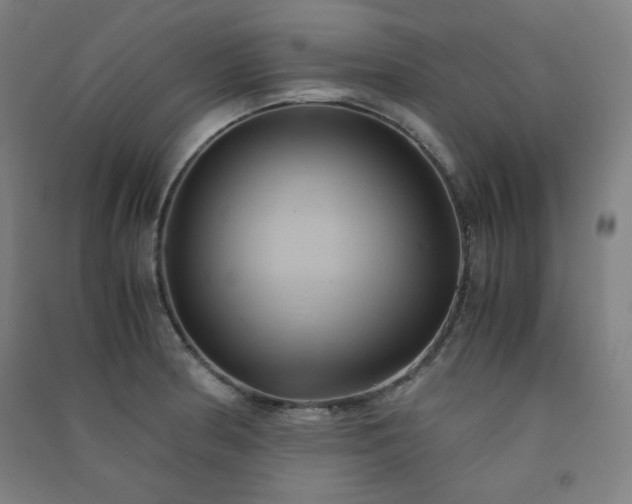X0000091571186200708201138