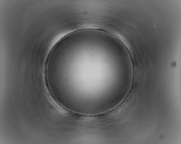 X0000091571187200708201138