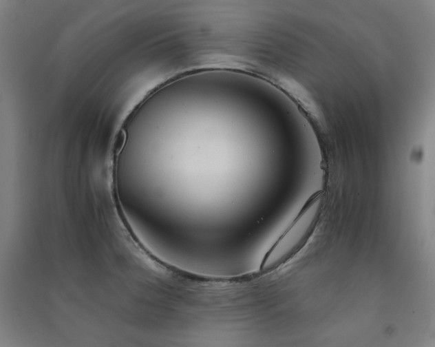 X0000091571188200708201138