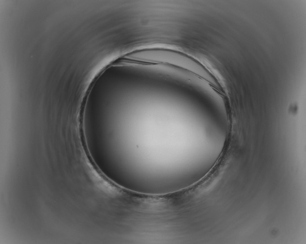 X0000091571189200708201138