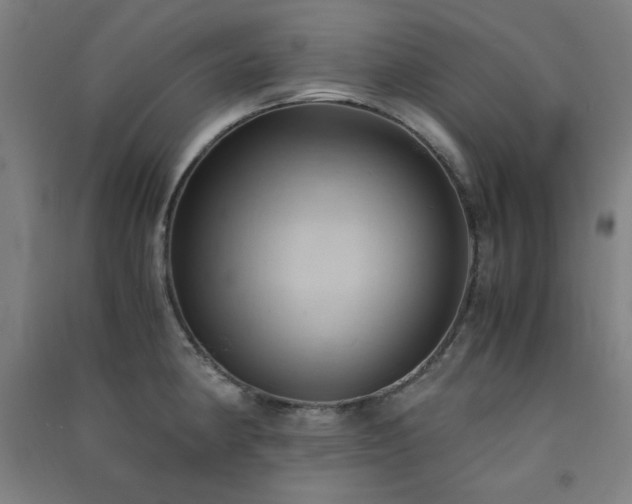 X0000091571190200708201138