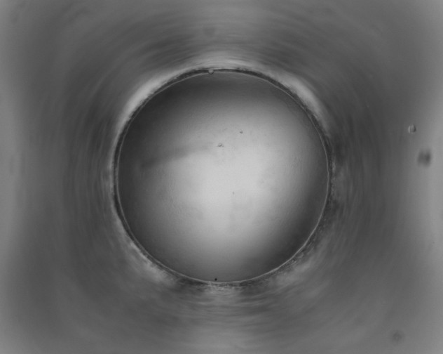X0000091571191200708201138