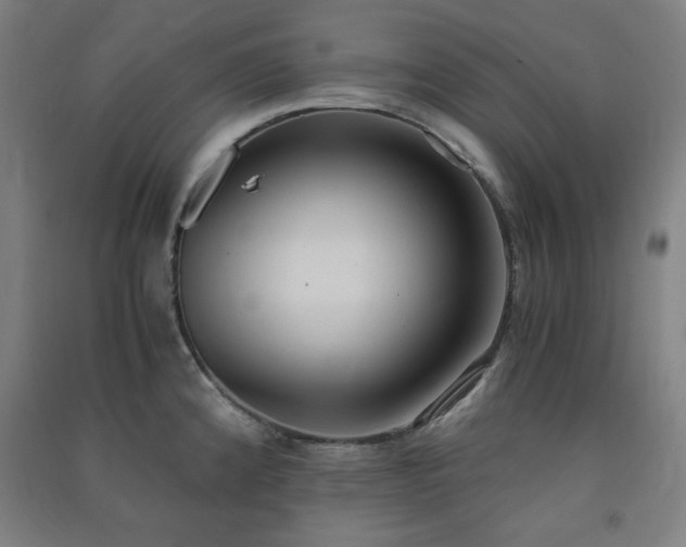 X0000091571192200708201138