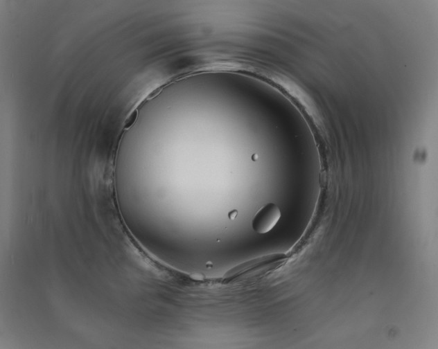 X0000091571193200708201138