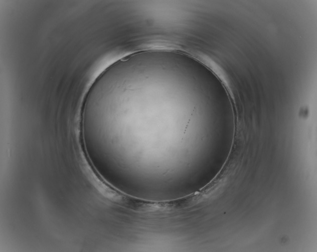 X0000091571195200708201138