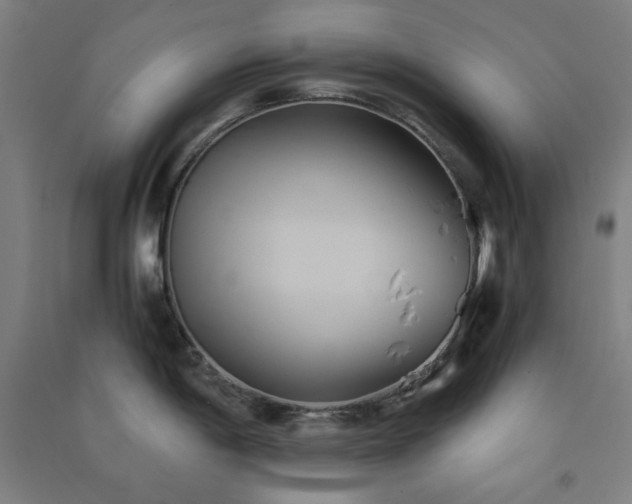 X0000091571198200708201138