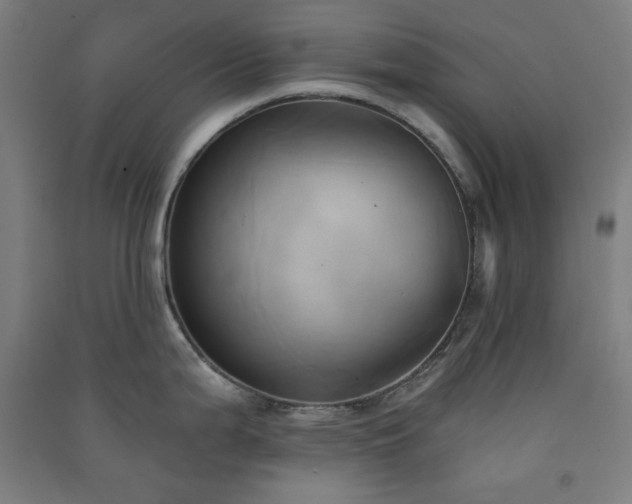 X0000091571199200708201138
