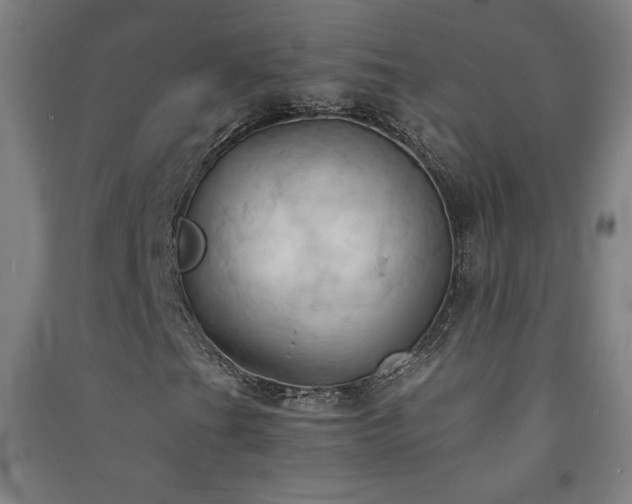 X0000091571201200708201137