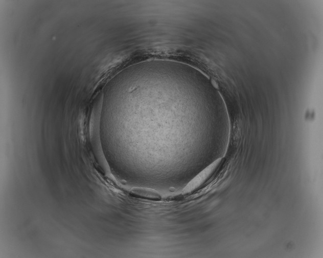 X0000091571202200708201137