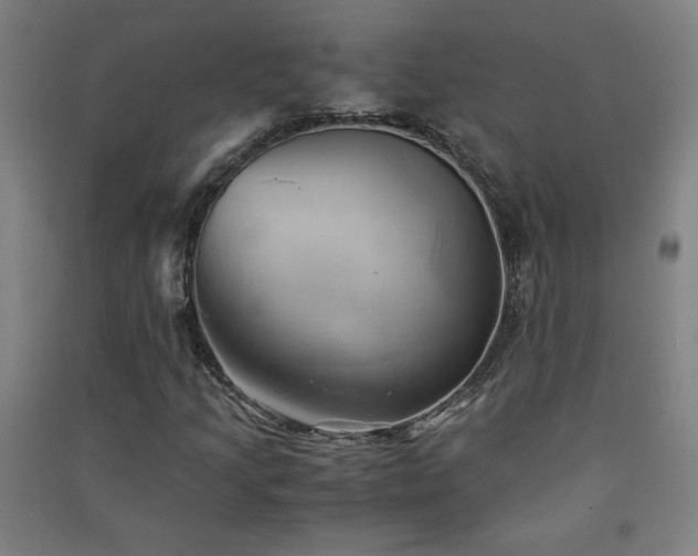 X0000091571205200708201137