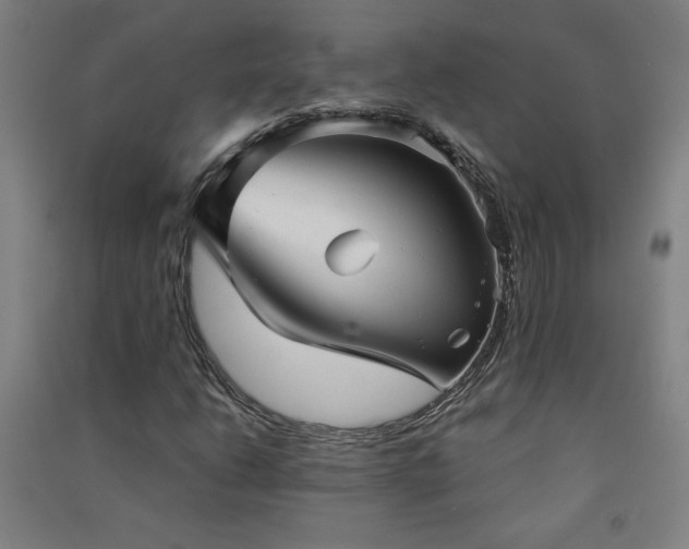 X0000091571206200708201137