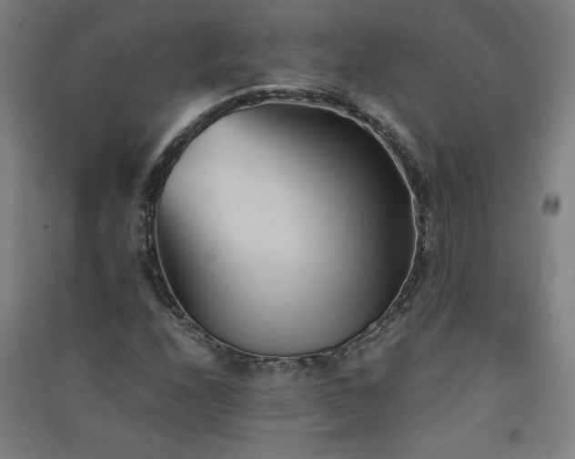 X0000091571208200708201137
