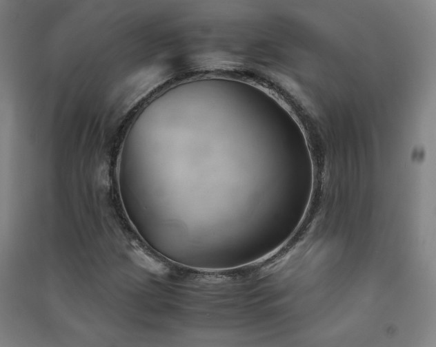 X0000091571209200708201137