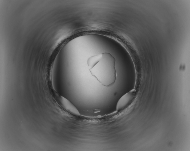 X0000091571210200708201137