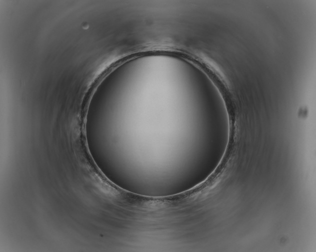 X0000091571212200708201137