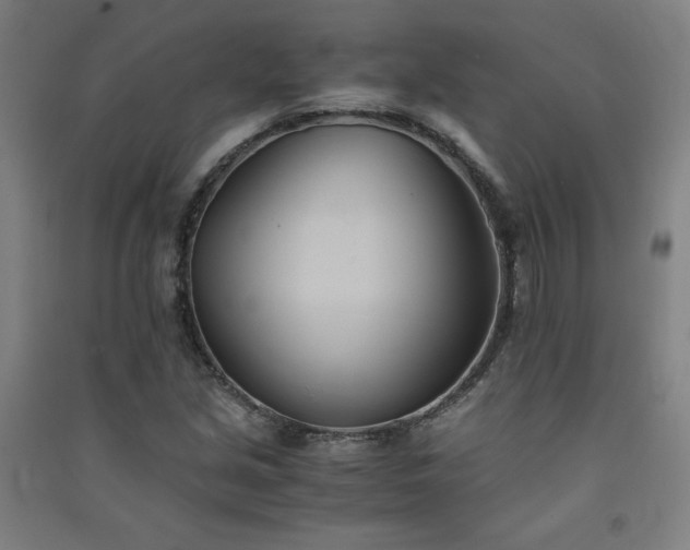 X0000091571213200708201137