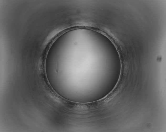 X0000091571215200708201137