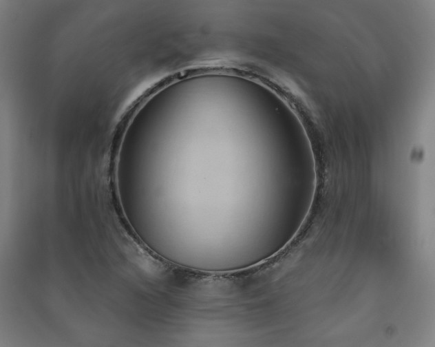 X0000091571216200708201137