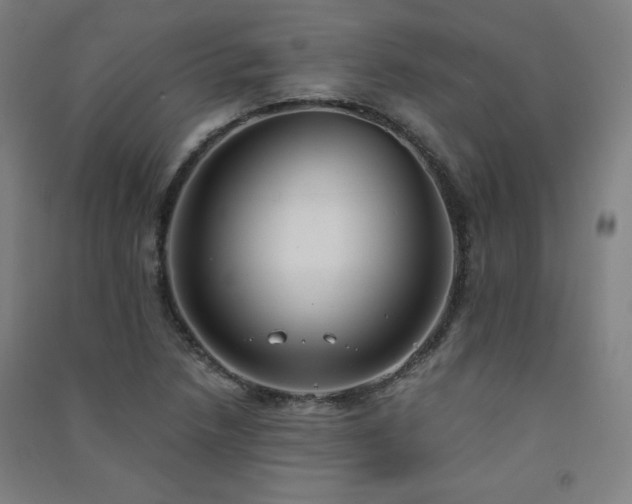X0000091571218200708201137
